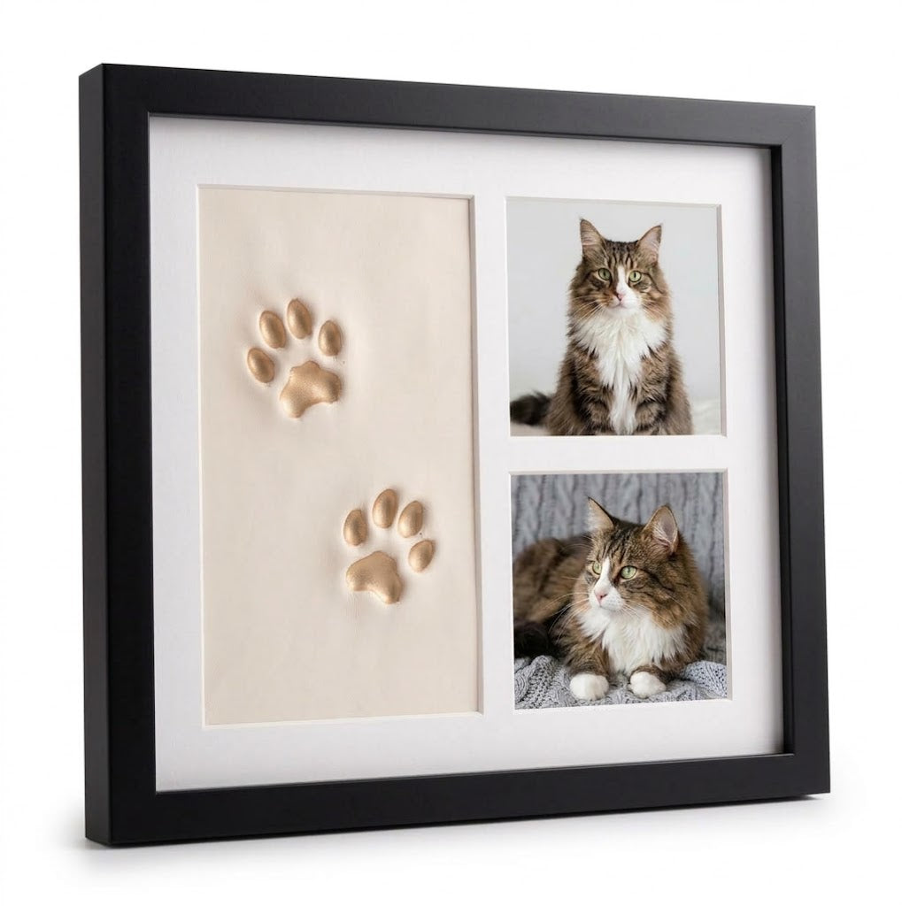 Memora™ - Kit Huella de Gato