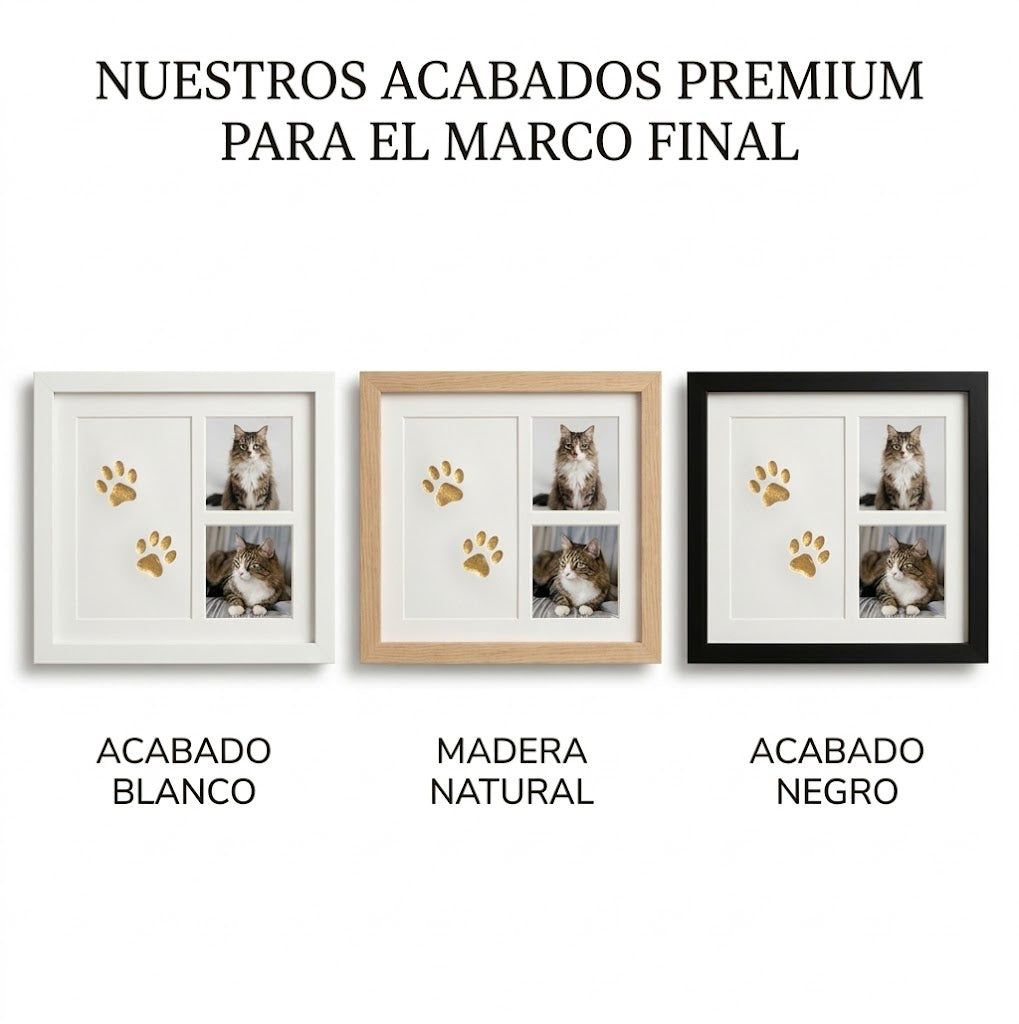 Memora™ - Kit Huella de Gato